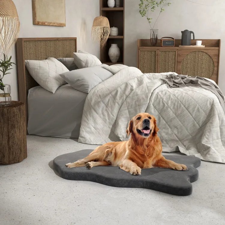 Orthopedic Memory Foam Dog Bed