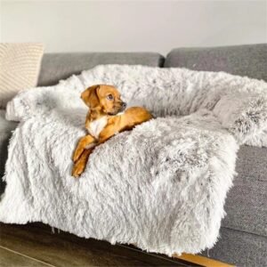 Supportive Everyday Dog Bed