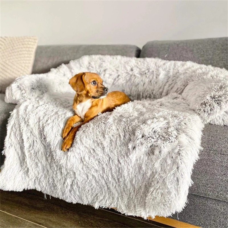 Supportive Everyday Dog Bed